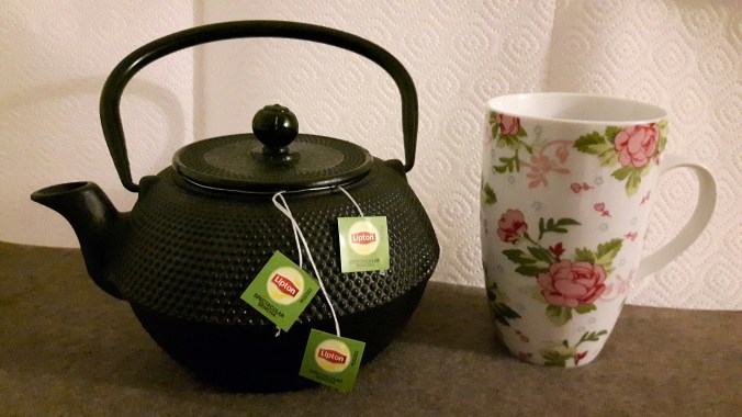 20160202_180432_resized