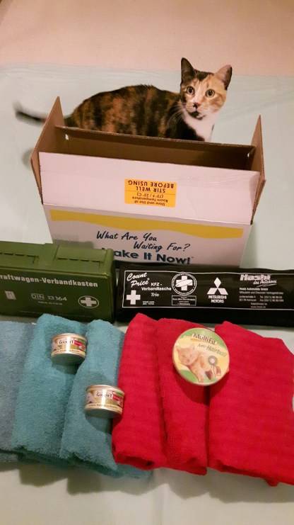 20160211_192152_resized