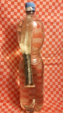 20160213_211002_resized