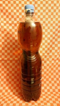 20160213_232715_resized