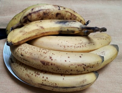 20160515_120102-1_resized