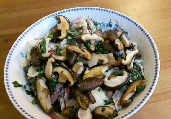 20160730_235411_resized