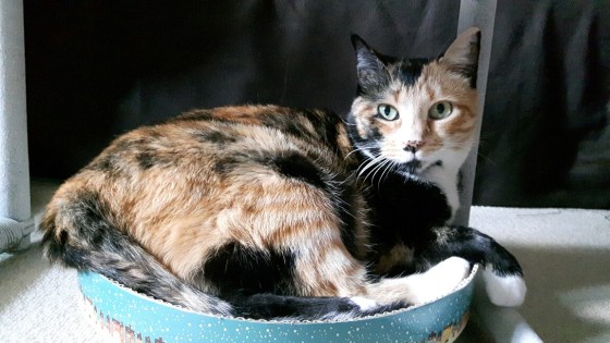 20160622_184704_resized