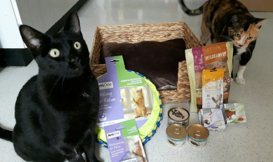 20160802_174601_resized