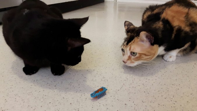 20161026_173527_002-01_resized