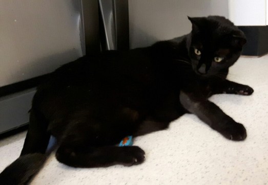 20161026_173736_001-01_resized