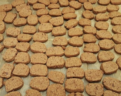 20161213_172636-01_resized