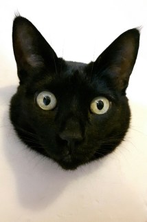 20161218_130313-01_resized