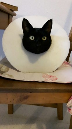 20161218_130351-01_resized