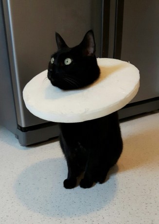 20161218_132903-01_resized