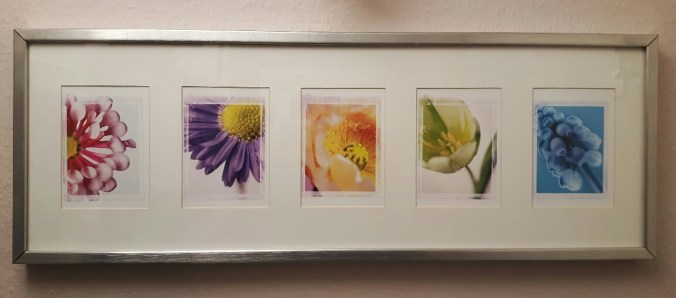 20161221_174744-01_resized