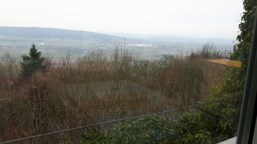 20170308_131354-01_resized