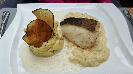 20170308_132218-01_resized