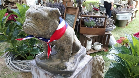 20170611_134153-01_resized