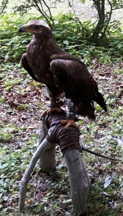 20170611_140407-01-01_resized