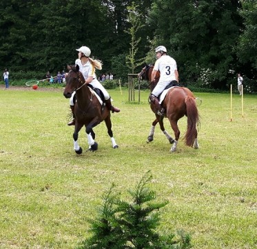 20170611_141232-01_resized