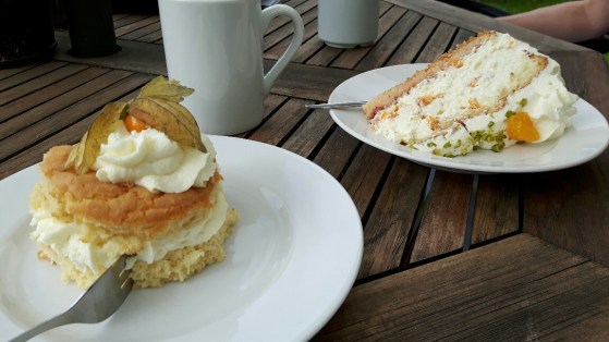 20170611_154425-01_resized