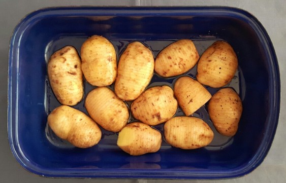 20170726_183440-01_resized