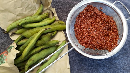 20170805_154027-01_resized