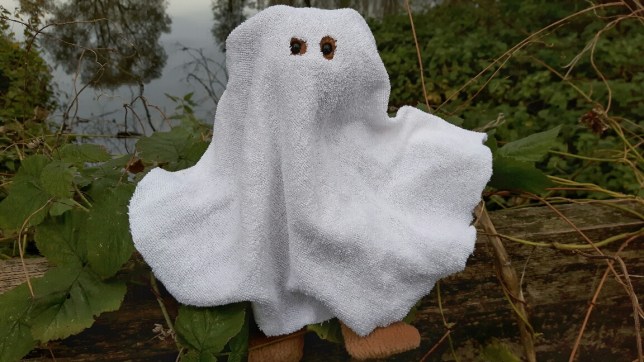 20171031_143738-01_resized