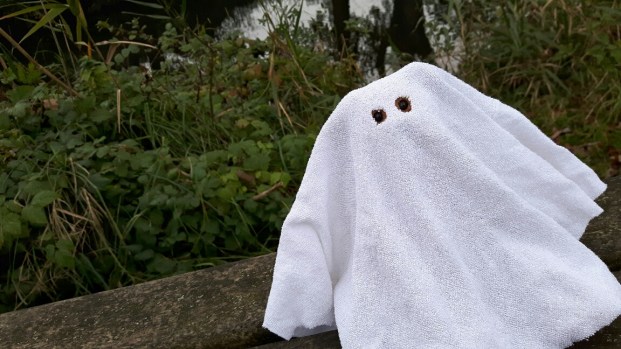 20171031_144055-01_resized