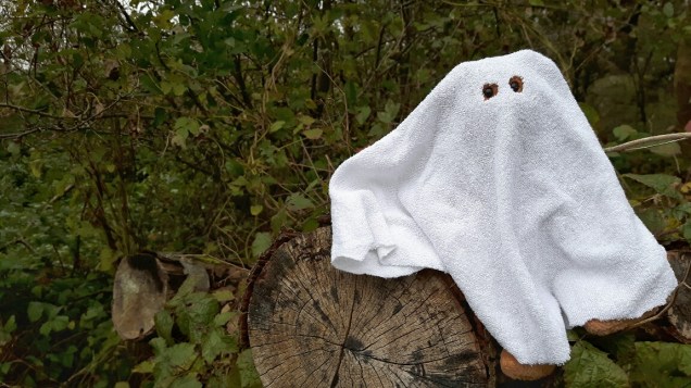 20171031_145152-01_resized