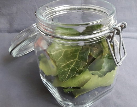 20180610_165823-01_resized