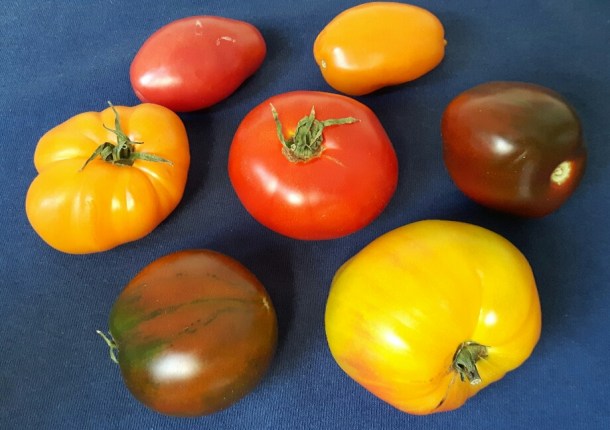 20180801_185056-01_resized