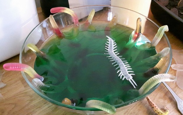 20181027_171950-01_resized