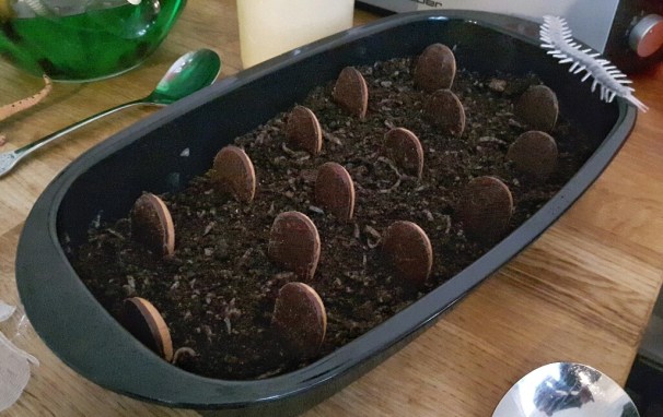 20181027_172008-01_resized