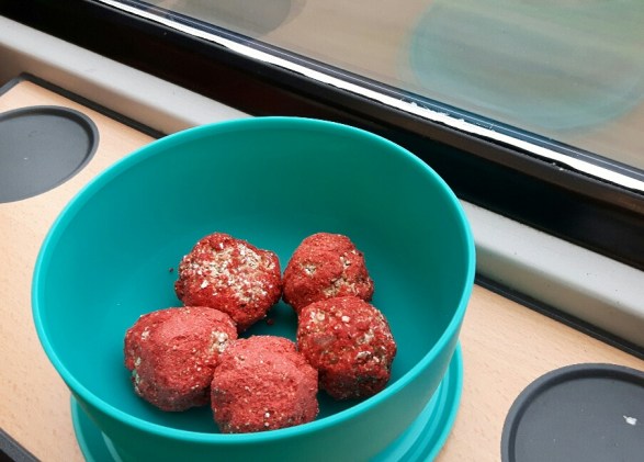 20181130_101045-01_resized