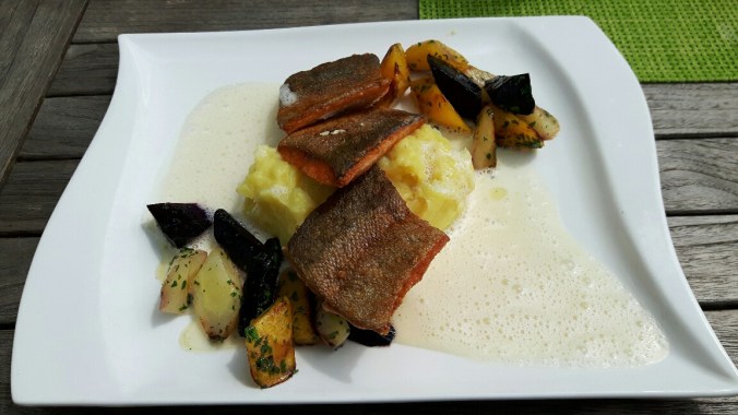 20190531_130949-01_resized